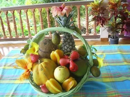 Farm stay Gites Vasseaux Capesterre-Belle-Eau